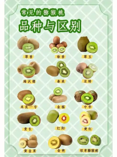 猕猴桃种类其实很多,但是口感差距很大.