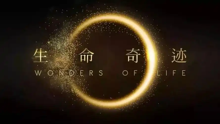 生命奇迹>报名申请通道现以全面开启,详情点击 →-→ 《当所爱的人身