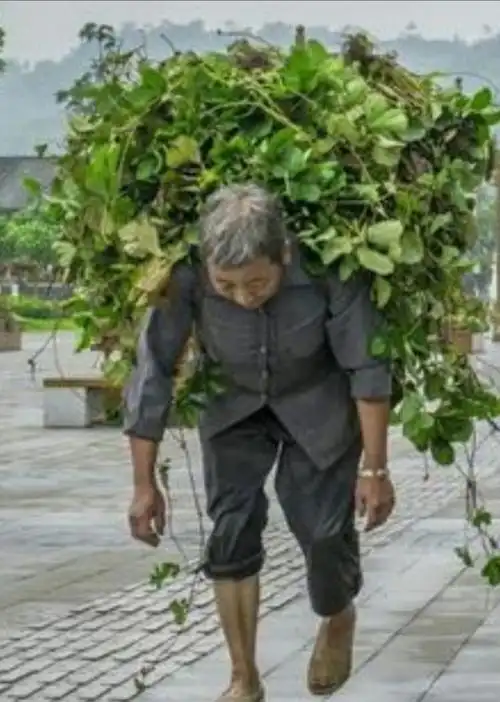 一幕幕感人故事,催人泪下!