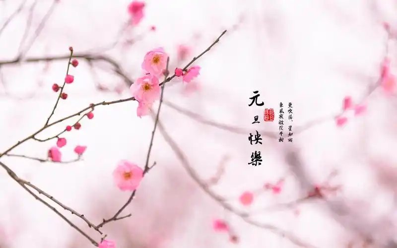 元旦唯美古诗词文字图片桌面壁纸