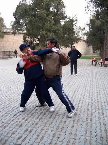 推手的老少,应该说老人的动作有些迟缓,但年轻一些的还是很耐心,嗣乔