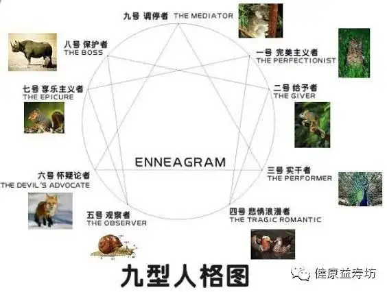 解析九型人格的秘密(四)与不同性格人的相处之道