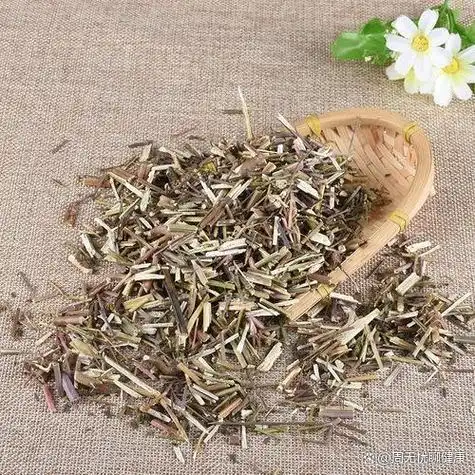 荆芥性温,味辛,具有解表散寒,祛风止痛,止血等多种功效.