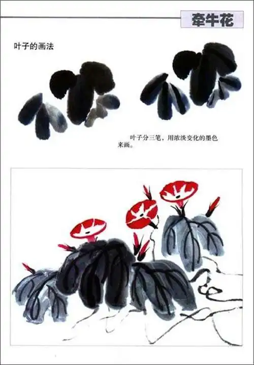 国画教程:国画牵牛花叶子的画法