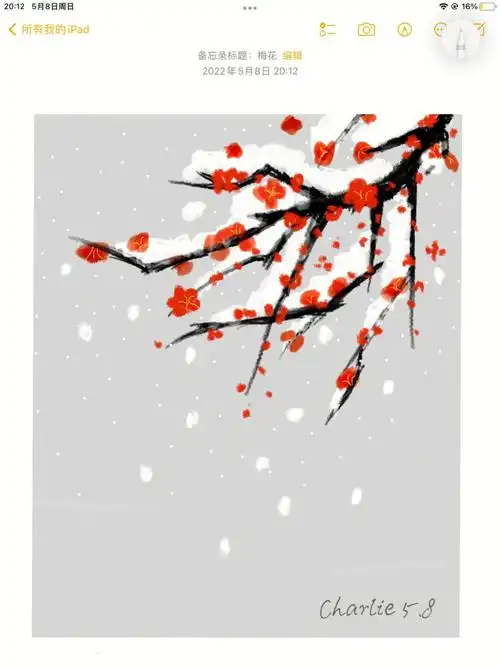 备忘录画画‖手绘梅花‖雪景(附教程)