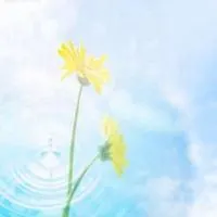 蓝天白云大海鲜花头像点击鼠标右键下载