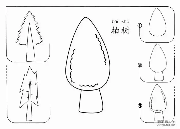 柏树怎么画_大树简笔画-简笔画大全