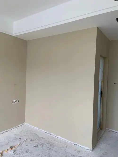 多乐士乳胶漆浅滩银珠奶茶色薄雾上墙