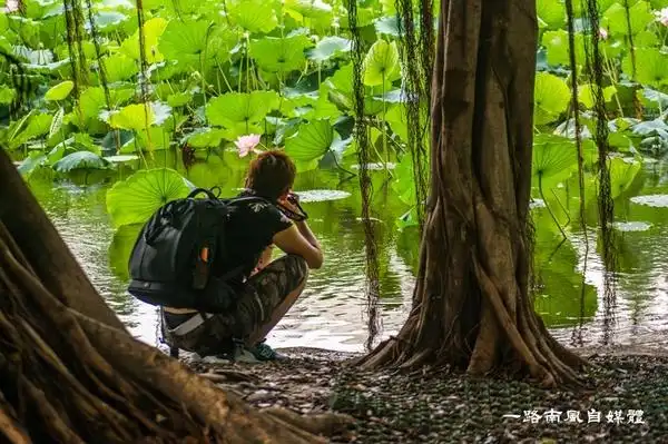 35度左右的高温,树荫底下是凉快的摄影点,不过对于专注的摄影人来说