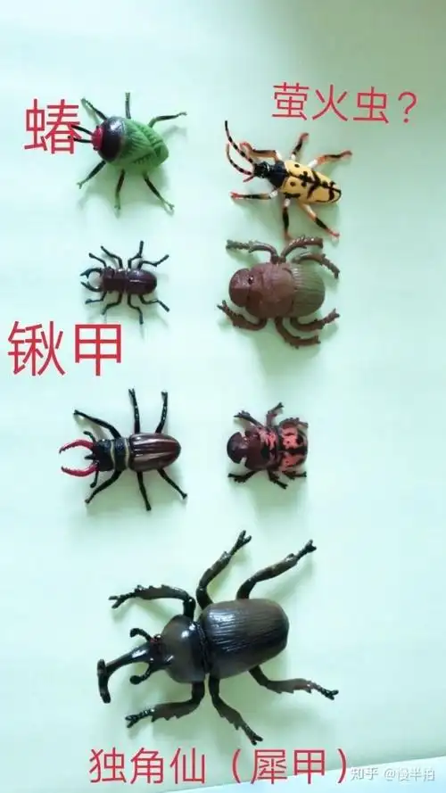 这些虫子叫什么名字?