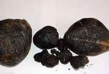 鸦片的危害不言而喻,它就像现在的毒品,几乎是谁沾谁倒霉,因而我国