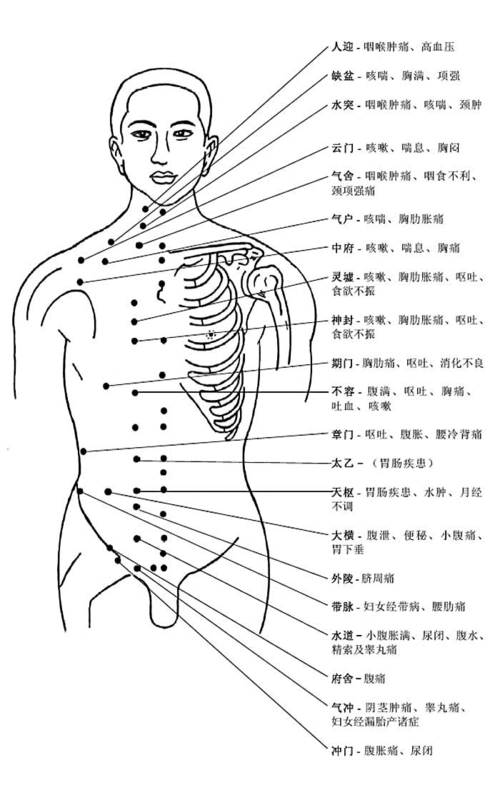 人体结构示意图