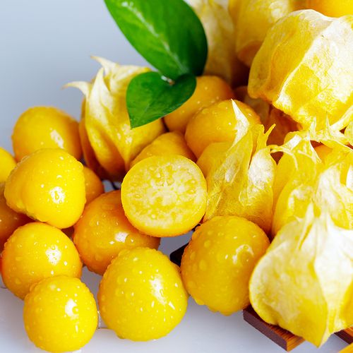 东北姑娘1斤特产当季新鲜水果甜菇凉大灯笼果其它