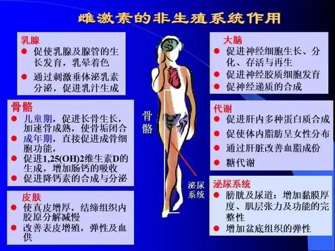 雌激素的作用有哪些? - 好大夫在线