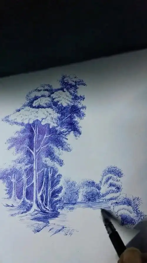 圆珠笔画的浪漫风景