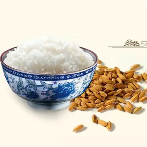 云南特产广南八宝贡米清香型5kg/袋装 新大米2018新米细长粒香农家