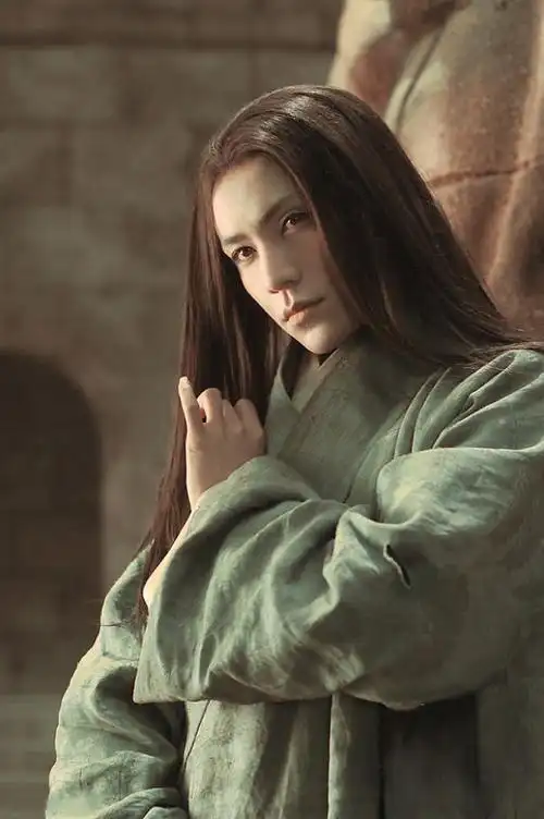 陈坤电影龙门飞甲雨化田