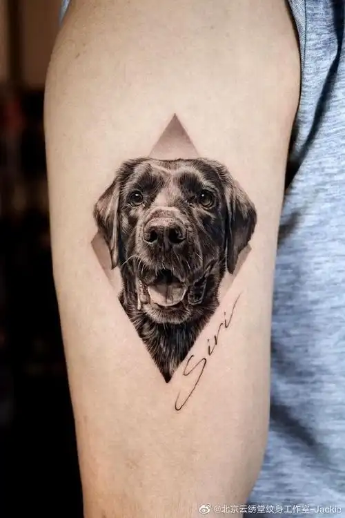 今日纹身图案分享小狗纹身喜欢可预约#小狗纹身##狗纹身##tattoo