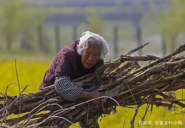 在农村,我们经常看到六七岁的老人还在干农活,心里有何感想?