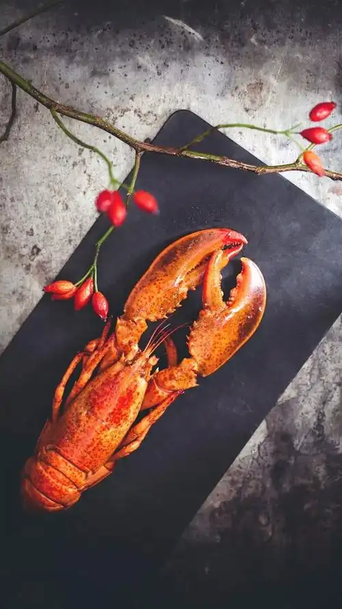 暗色调红色的大龙虾高清摄影图片