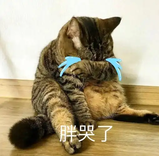 胖哭了(猫猫表情包)