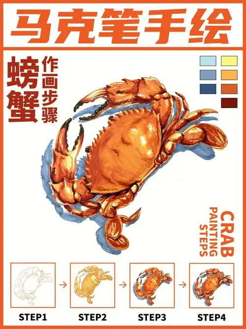 超简单的马克笔手绘螃蟹02作画步骤