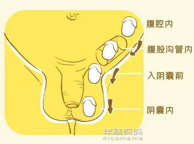 孩子总摸私处是为啥看完这个就懂了