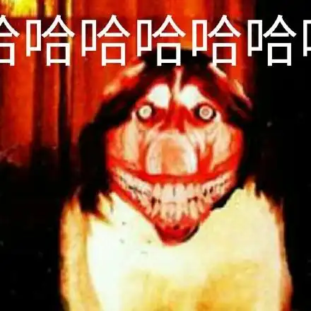 哈哈哈哈(狗狗恐怖图片)_狗狗_哈哈哈哈_恐怖表情
