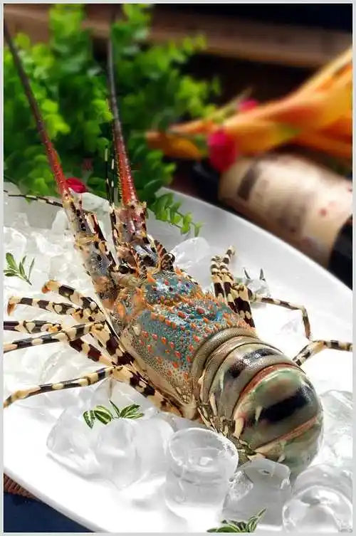 高清菜品摄影图片澳洲龙虾