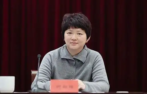 它们凭什么斩获五年一届的茅盾文学奖本届茅奖评奖办