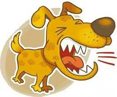 疯狗真多,都没人管吗?不知道什么时候就蹿出来咬人