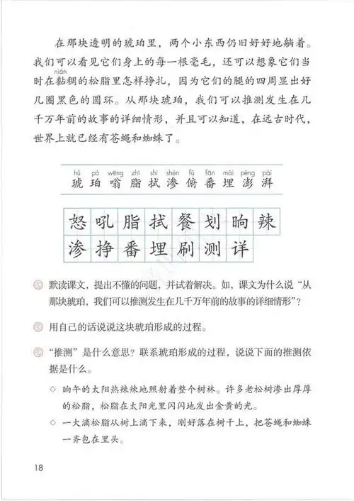 部编版四年级语文下册第5课《琥珀》自学要领