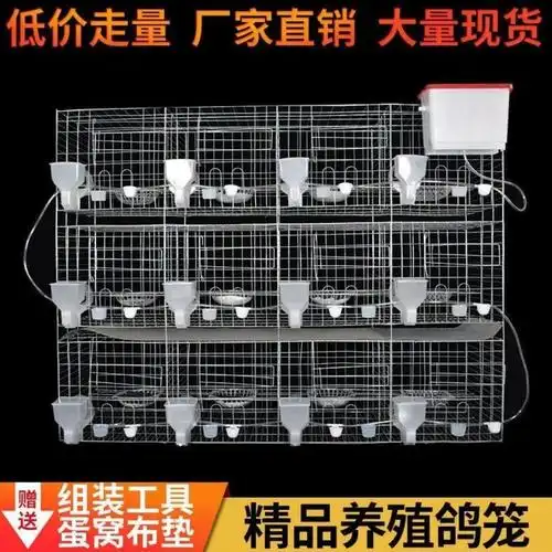 2位鸽笼 无配件裸笼 大号标准养殖鸽子笼鸽子鸽巢12位信鸽配对笼16位