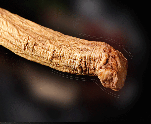 中药材甘肃党参节中药材250g纹党党参条带花心可搭当归黄芪泡水