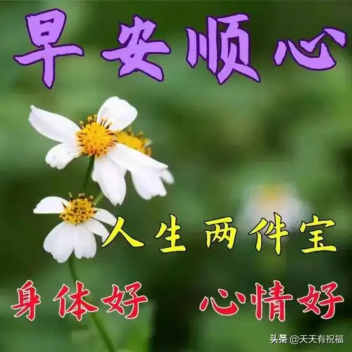 最美阳光暖心的问候语图片带字,唯美好看的早安图片带祝福语