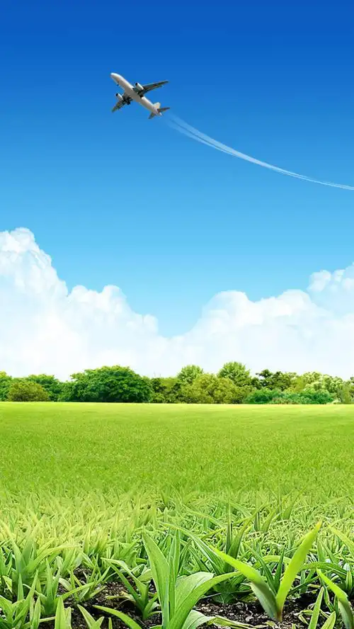 清新田园绿色h5背景