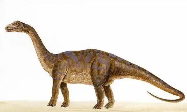 史前十大最强恐龙排名霸王龙仅排第三