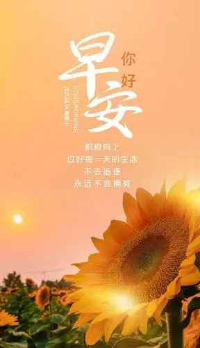 8月4日早安心语正能量哲理语录句子朋友圈最棒最赞的早上好图片正能量