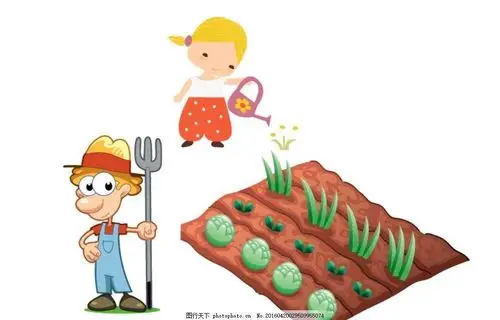 【我们是小小种菜员】——伊贝迪普君幼儿园小二班种菜记