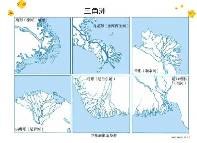 地理知识:探索三角洲的奥秘 🌊