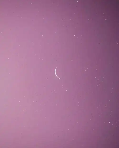 月亮 粉色 意境壁纸