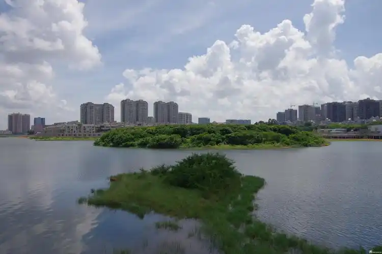 休闲徒步好去处-福永立新湖水库环湖绿道