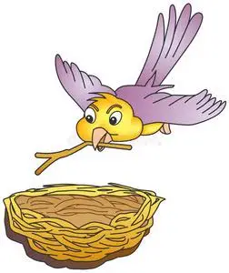 嵌套的鸟巢图片