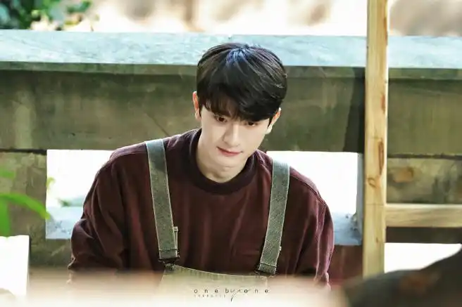 林一谢谢你温暖我