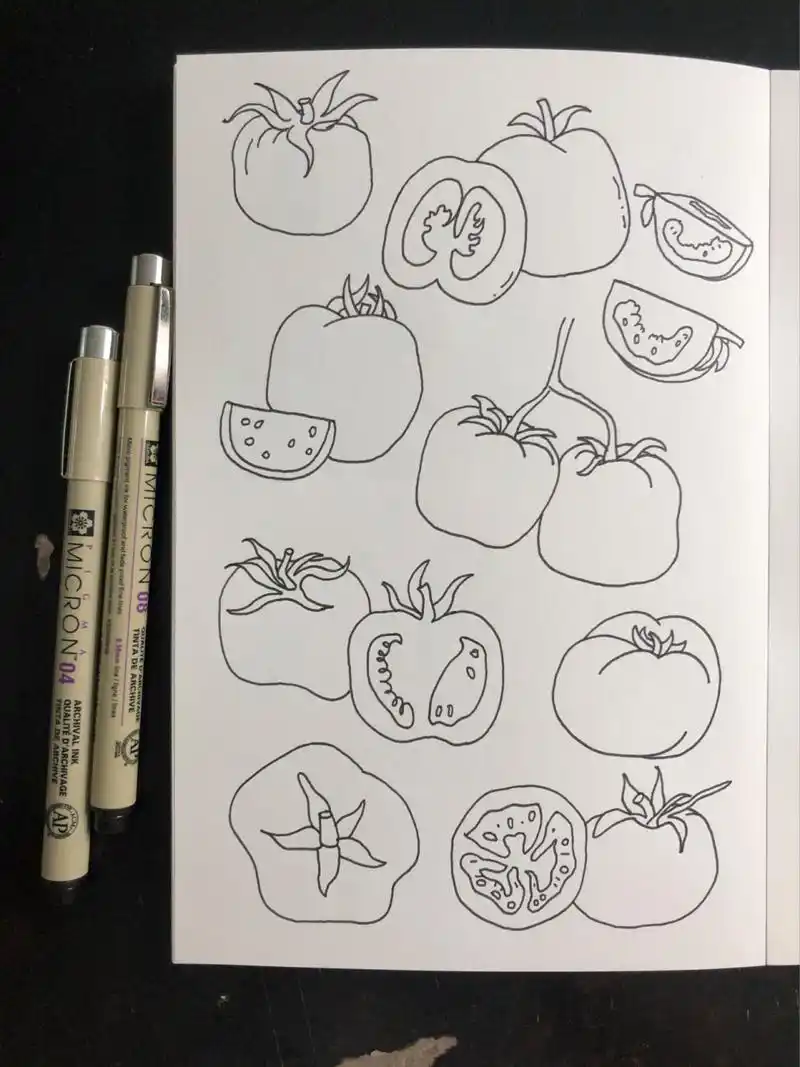 零基础手绘|简笔画|西红柿97 临摹 780902222800¨02