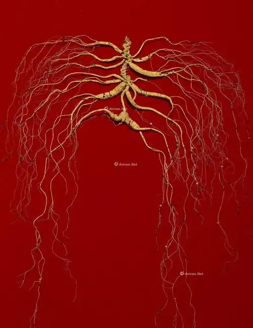 3370 长白山野山参