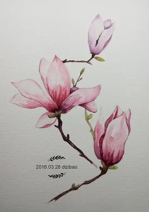 水彩画临摹高清图片素材水彩画临摹高清图片素材花