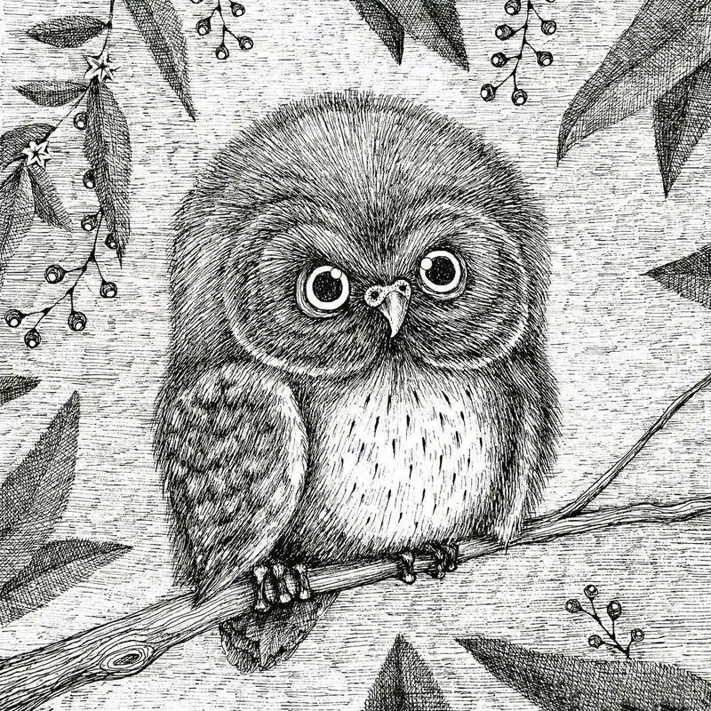 线描动物分享沉下心坐下来慢慢的努力