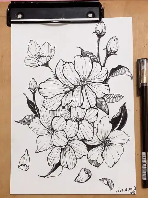 黑白线描花卉装饰|控笔练习