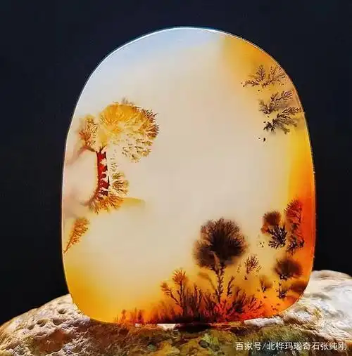 好看的石头有谁会不喜欢